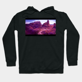 You have Died of Dysentery Hoodie